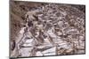 The Salt Mines of Las Salinas De Maras-Peter Groenendijk-Mounted Photographic Print