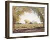 The Salt River Valley-Gunnar Widforss-Framed Giclee Print