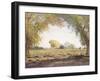 The Salt River Valley-Gunnar Widforss-Framed Giclee Print