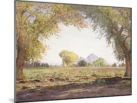 The Salt River Valley-Gunnar Widforss-Mounted Giclee Print