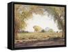 The Salt River Valley-Gunnar Widforss-Framed Stretched Canvas