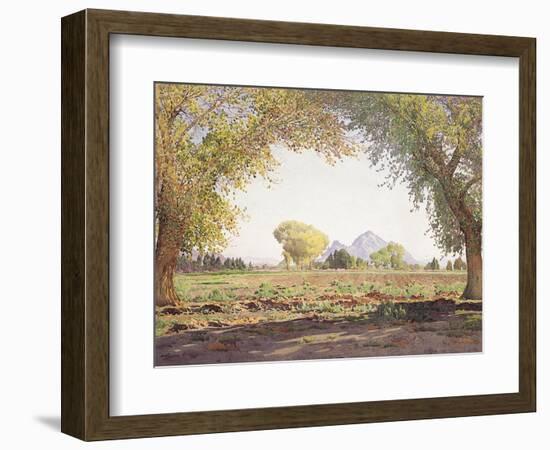 The Salt River Valley-Gunnar Widforss-Framed Giclee Print