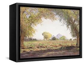 The Salt River Valley-Gunnar Widforss-Framed Stretched Canvas