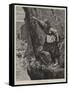 The Samphire Gatherer-William Bazett Murray-Framed Stretched Canvas