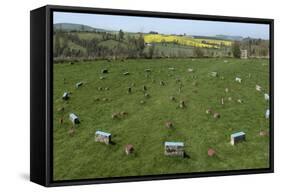 The Sanctuary, Ancient Ritual Site from About 2500Bc, Avebury, Wiltshire, England, United Kingdom-Rolf Richardson-Framed Stretched Canvas