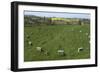 The Sanctuary, Ancient Ritual Site from About 2500Bc, Avebury, Wiltshire, England, United Kingdom-Rolf Richardson-Framed Photographic Print