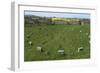 The Sanctuary, Ancient Ritual Site from About 2500Bc, Avebury, Wiltshire, England, United Kingdom-Rolf Richardson-Framed Photographic Print