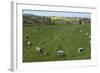 The Sanctuary, Ancient Ritual Site from About 2500Bc, Avebury, Wiltshire, England, United Kingdom-Rolf Richardson-Framed Photographic Print