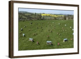 The Sanctuary, Ancient Ritual Site from About 2500Bc, Avebury, Wiltshire, England, United Kingdom-Rolf Richardson-Framed Photographic Print