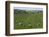 The Sanctuary, Ancient Ritual Site from About 2500Bc, Avebury, Wiltshire, England, United Kingdom-Rolf Richardson-Framed Photographic Print