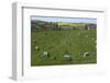 The Sanctuary, Ancient Ritual Site from About 2500Bc, Avebury, Wiltshire, England, United Kingdom-Rolf Richardson-Framed Photographic Print