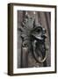 The Sanctuary Knocker-Stuart Forster-Framed Photographic Print