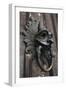 The Sanctuary Knocker-Stuart Forster-Framed Photographic Print