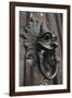 The Sanctuary Knocker-Stuart Forster-Framed Photographic Print