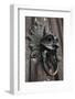 The Sanctuary Knocker-Stuart Forster-Framed Photographic Print