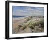 The Sand Dunes at Walberswick, 2008-John Sutton-Framed Giclee Print