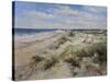 The Sand Dunes at Walberswick, 2008-John Sutton-Stretched Canvas