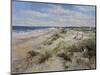 The Sand Dunes at Walberswick, 2008-John Sutton-Mounted Giclee Print