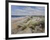 The Sand Dunes at Walberswick, 2008-John Sutton-Framed Giclee Print