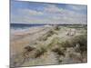 The Sand Dunes at Walberswick, 2008-John Sutton-Mounted Giclee Print