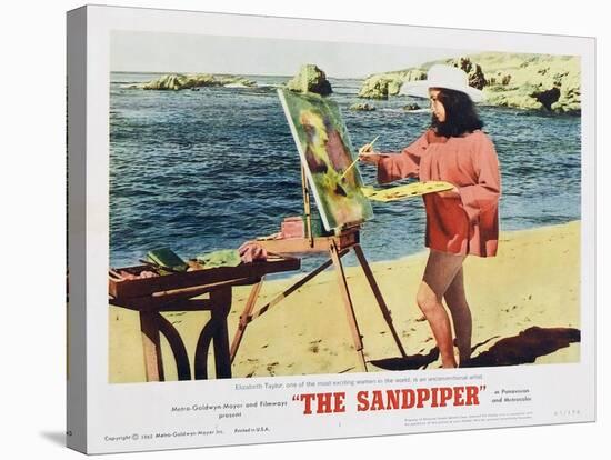 The Sandpiper, 1965-null-Stretched Canvas