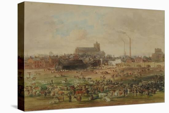 The Sands, Carlisle - the Cattle Market, 1864-William Henry Nutter-Stretched Canvas