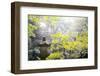 The Sankeien Garden, Yokohama, Tokyo, Japan, Asia-David Pickford-Framed Photographic Print