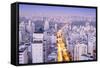 The Sao Paulo Skyline from Jardins, Sao Paulo, Brazil, South America-Alex Robinson-Framed Stretched Canvas