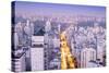 The Sao Paulo Skyline from Jardins, Sao Paulo, Brazil, South America-Alex Robinson-Stretched Canvas