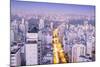 The Sao Paulo Skyline from Jardins, Sao Paulo, Brazil, South America-Alex Robinson-Mounted Photographic Print