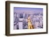 The Sao Paulo Skyline from Jardins, Sao Paulo, Brazil, South America-Alex Robinson-Framed Photographic Print