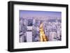 The Sao Paulo Skyline from Jardins, Sao Paulo, Brazil, South America-Alex Robinson-Framed Photographic Print