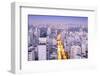 The Sao Paulo Skyline from Jardins, Sao Paulo, Brazil, South America-Alex Robinson-Framed Photographic Print