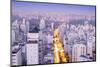 The Sao Paulo Skyline from Jardins, Sao Paulo, Brazil, South America-Alex Robinson-Mounted Photographic Print