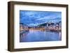 The Saone River in Lyon City-prochasson-Framed Photographic Print