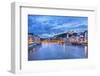 The Saone River in Lyon City-prochasson-Framed Photographic Print