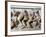 The Sarcophagus of Alexander in Marble, from Sidon, Lebanon-null-Framed Giclee Print