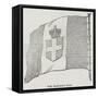 The Sardinian Flag-null-Framed Stretched Canvas