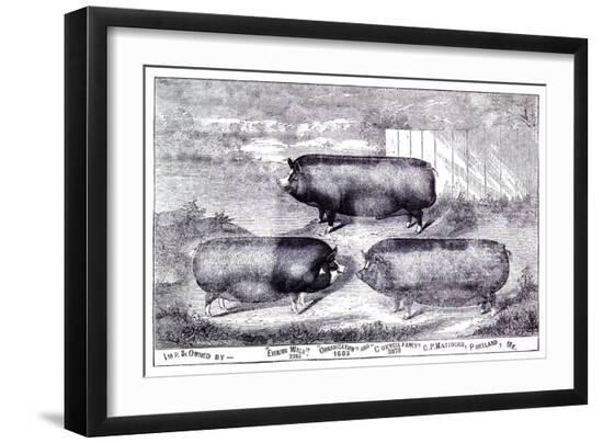 Premium Giclee Print, , large
