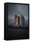Framed Canvas