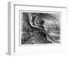 The Savannah, at Augusta, 19th Century-FW Quartley-Framed Giclee Print