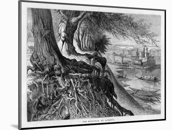 The Savannah, at Augusta, 19th Century-FW Quartley-Mounted Giclee Print