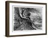 The Savannah, at Augusta, 19th Century-FW Quartley-Framed Giclee Print