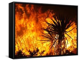 The Sawtooth Complex Fire Burns Near Morongo Valley, Calif.-null-Framed Stretched Canvas