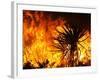 The Sawtooth Complex Fire Burns Near Morongo Valley, Calif.-null-Framed Photographic Print