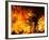 The Sawtooth Complex Fire Burns Near Morongo Valley, Calif.-null-Framed Photographic Print