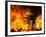 The Sawtooth Complex Fire Burns Near Morongo Valley, Calif.-null-Framed Photographic Print