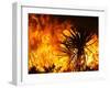 The Sawtooth Complex Fire Burns Near Morongo Valley, Calif.-null-Framed Photographic Print