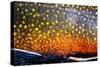 The Scales of a Spawning Male Brook Trout in Southern Patagonia, Argentina-Matt Jones-Stretched Canvas