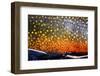 The Scales of a Spawning Male Brook Trout in Southern Patagonia, Argentina-Matt Jones-Framed Photographic Print